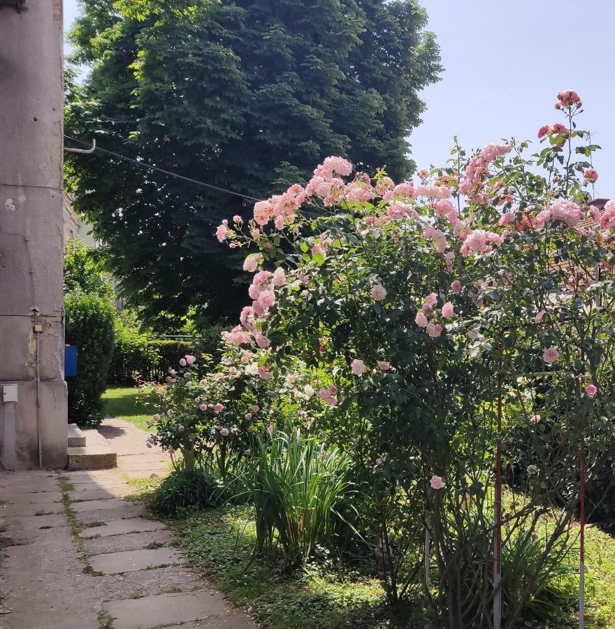 Apartmán Petit Coco Záhřeb Exteriér fotografie